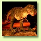 Visita  Exposicin Universal  de Dinosauros do Gobi